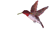 vogel00075